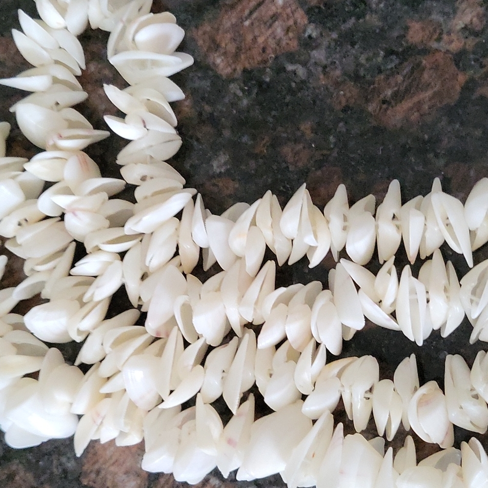 Seashell necklace - Picture 3 of 3